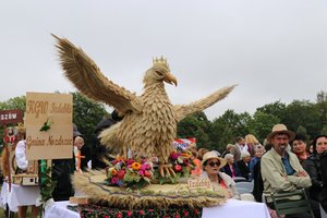 IMG_1597