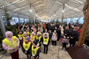 25-12-19 09-33-02 3251