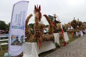 IMG_1574