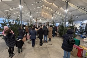 25-12-19 09-31-35 3247