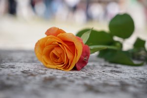 DSC00898