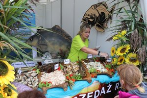 IMG_1465