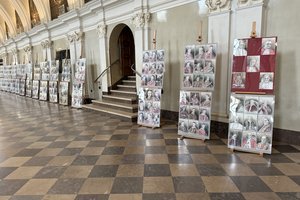 IMG_9356