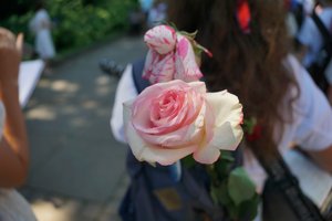 DSC03114