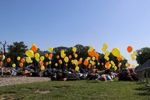 IMG_0131