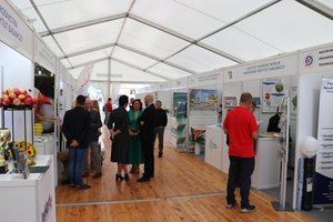 IMG_1396