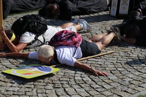 IMG_0355