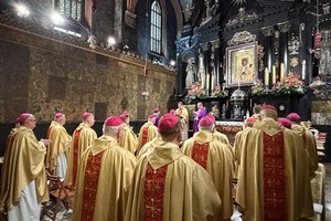 25-11-22 08-17-35 3002