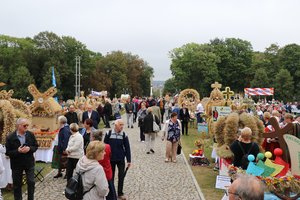 IMG_1585