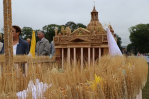 IMG_1614