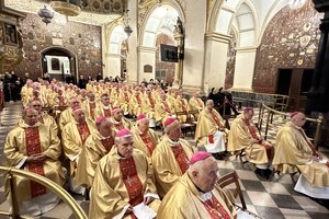 25-11-22 07-58-07 2988