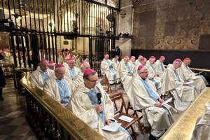 25-11-20 07-52-46 2953