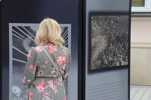 IMG_9475
