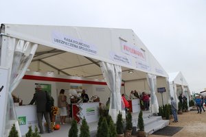 IMG_1343