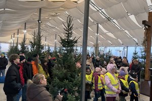 25-12-19 09-33-18 3252