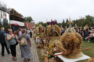 IMG_1549