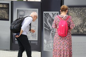 IMG_9398